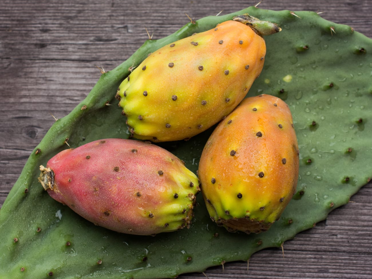 Prickly pear seed oil